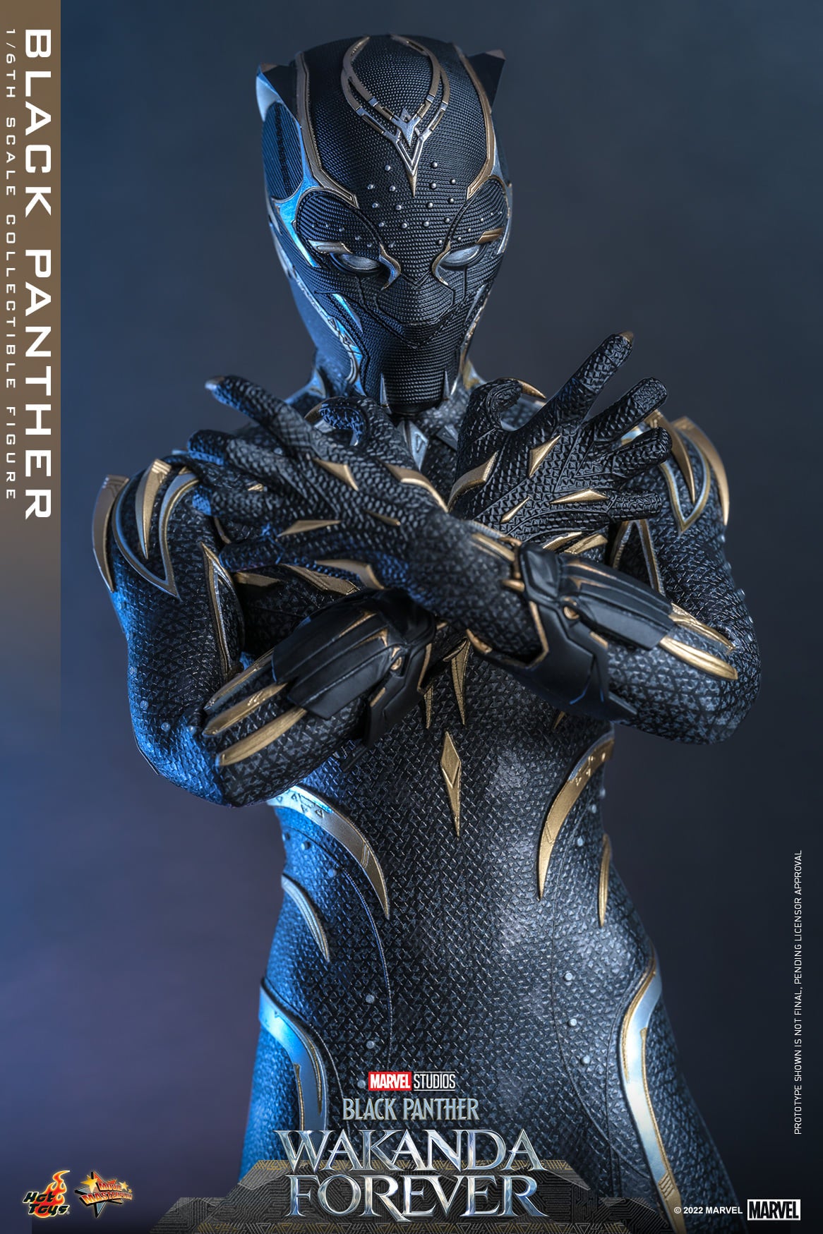 Black Panther 1/6 - Black Panther: Wakanda Forever Hot Toys