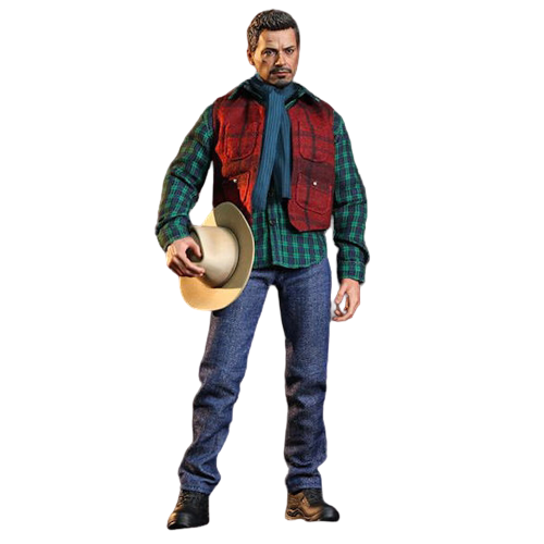 Rose Hill Tony Stark 1/6 - Iron Man 3 Hot Toys