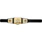 Indisputed WWE Universal Championship Role-Play - WWE Mattel