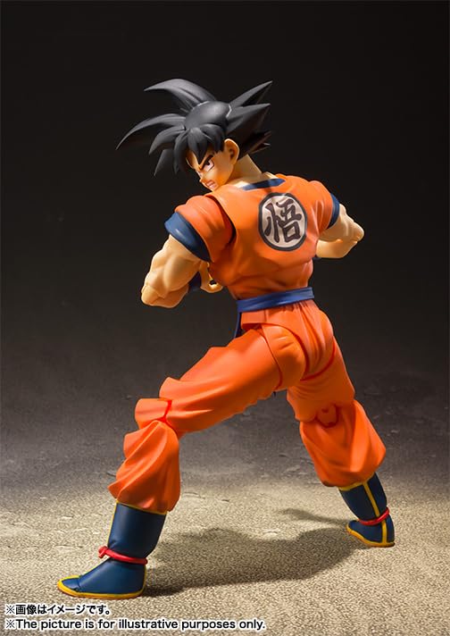 Son Goku Saiyan Raised on Earth - Dragon Ball Z S.H.Figuarts