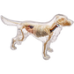 Perro Labrador Full Skeleton Model - 4D Master Vision