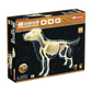 Perro Labrador Full Skeleton Model - 4D Master Vision
