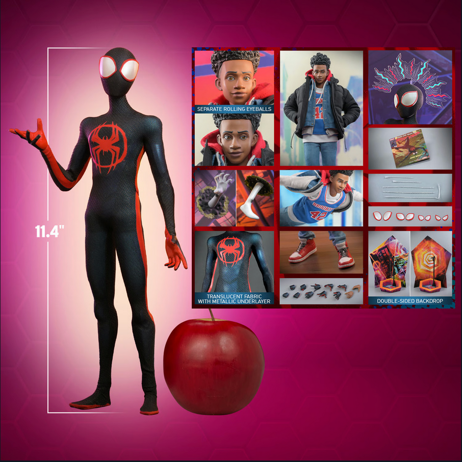 Miles Morales 1/6 - Marvel Spider-Man: Across the Spiderverse Hot Toys
