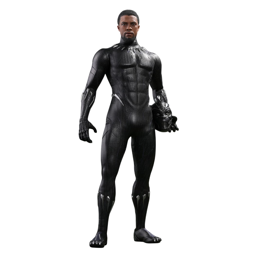 Black Panther 1/6 - Black Panther Hot Toys