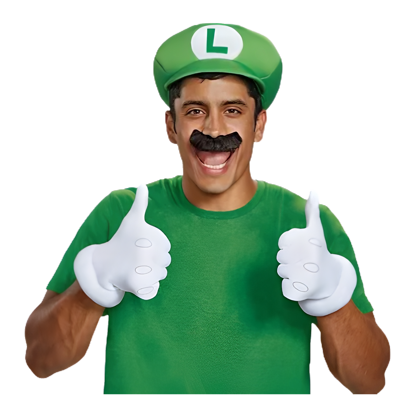 Luigi Costume Accesory Kit Adult - Super Mario Bros