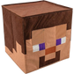 Steve Block Head Costume - Minecraft Disguise Single Size