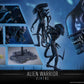 Alien Warrior 1/6 - Aliens Hot Toys