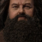 Rubeus Hagrid 1/6 - Harry Potter and the Sorcerer's Stone Star Ace