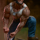 Logan Premium Format Exclusive - Marvel Comics Sideshow