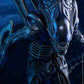 Alien Warrior 1/6 - Aliens Hot Toys