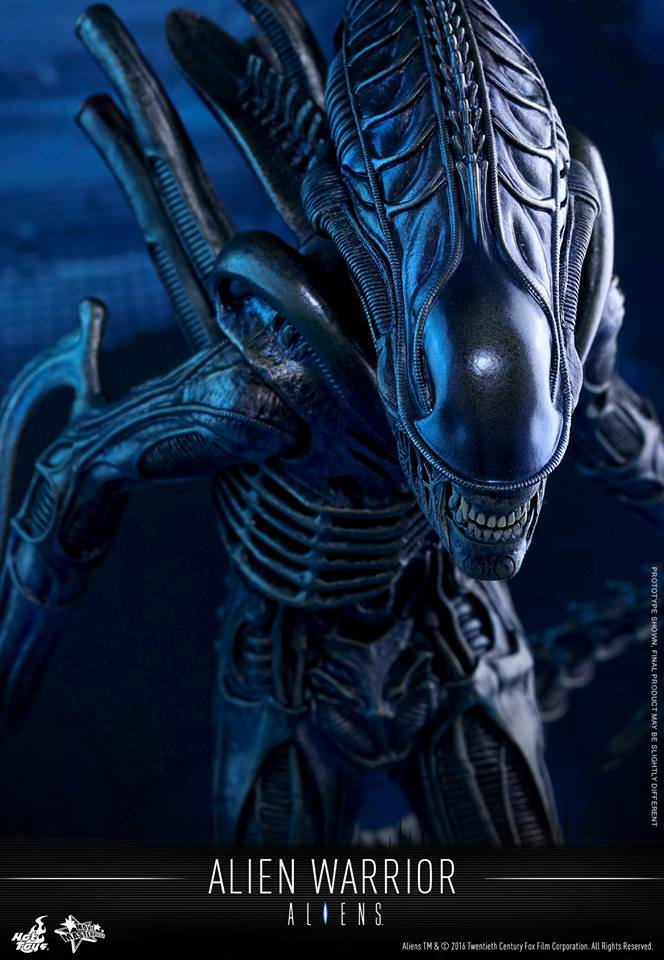 Alien Warrior 1/6 - Aliens Hot Toys